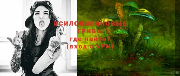 spice Володарск